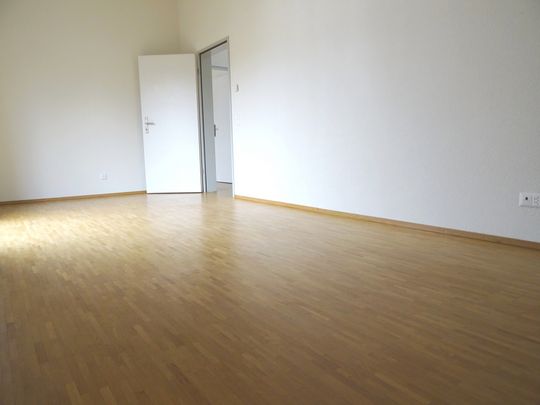 heimelige Dachwohnung mit hohen Räumen und Schwedenofen - Photo 1