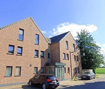 Clos des Champs 1 6, 7618 Rumes Taintignies, België - Foto 1