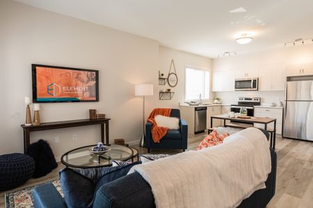 Element Townhomes in Prairie Pointe - Photo 4