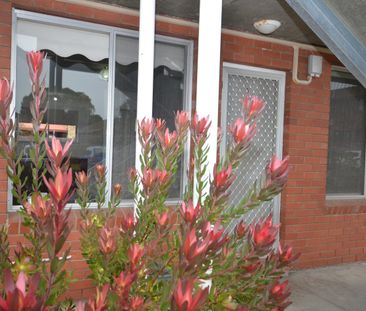 Beachside Apartment - Photo 2