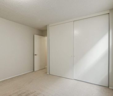 Renovated Suite - 1 Bedroom - Photo 1