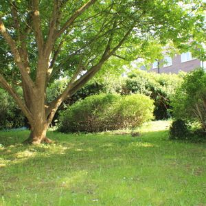 Hardinge Road, Ashford - Photo 3