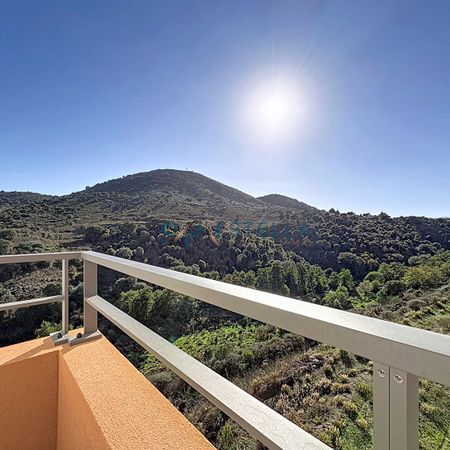 Location Appartement 1 pièce 30m² SARROLA CARCOPINO 20167 - Photo 4