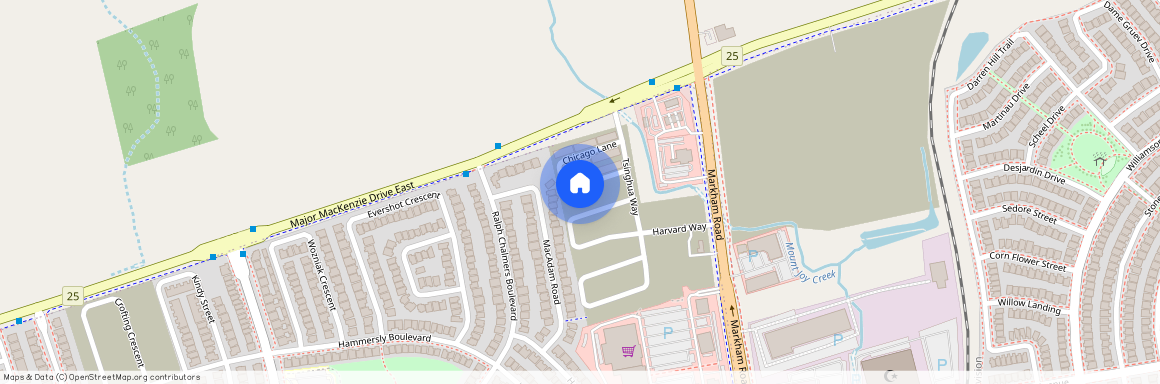 68 Chicago Lane, Markham