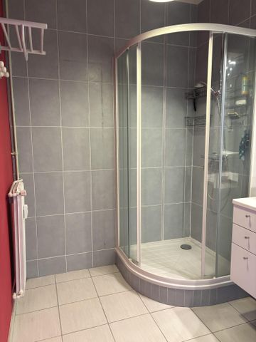 Location Appartement 2 pièces 50m² LYON 3ème - Photo 2