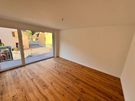 Erstvermietung 2 MFH Kirchweg 358 / 359 in Zullwil – Modern wohnen im Grünen - Photo 1