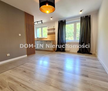 Zdrój, Karola Miarki, Jastrzębie-Zdrój – zdjęcie 1