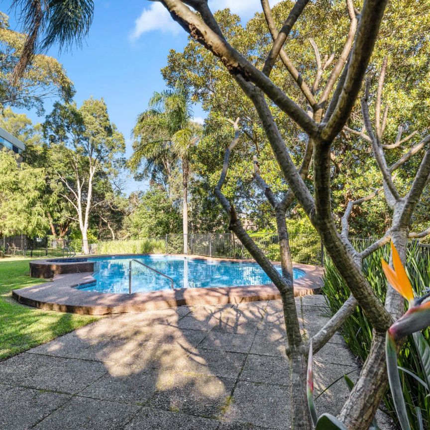 Light Filled- Spacious Studio - Photo 1