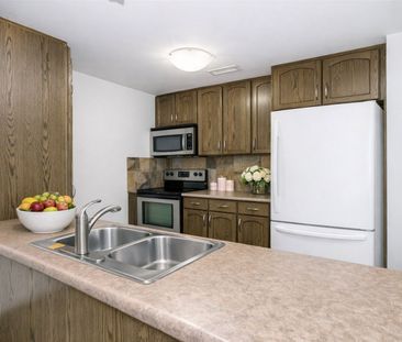 For Lease - 901 Paisley Road Unit# 103, Guelph, Ontario - Photo 6