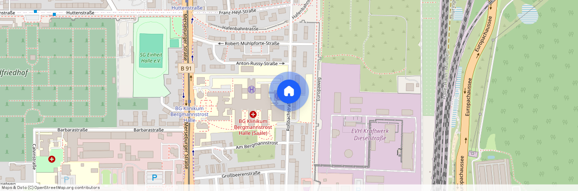 Roßbachstraße, 06112, Roßbachstraße    Halle