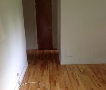 1 CH - 1 SDB - Montréal - $1,250 /mo - Photo 1