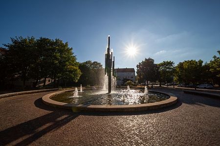 Sofort Einziehen! 3 Zimmer-Wohnung in Halle-Rosengarten - Foto 4