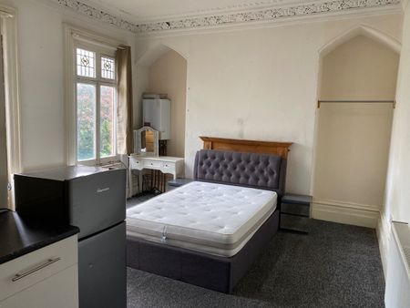Studio Flat, East Albert Rd, L17 - Photo 3