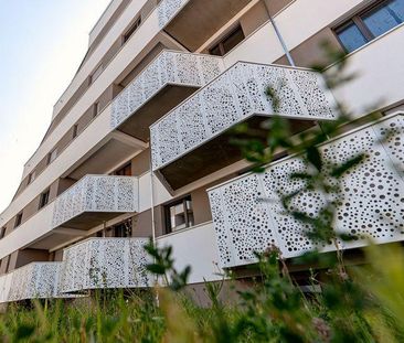 Wohnung m. großem Süd-Balkon | Bad mit Dusche | HWR | Aufzug | TG |... - Foto 1