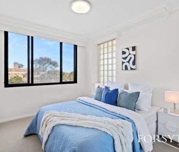 Sydney's Urban Oasis - Photo 6