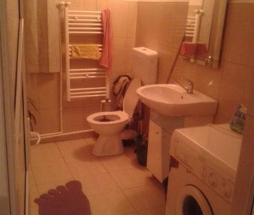 Lumina, vila 8 camere, mobilata, gaze, inchirieri - Fotografie 3