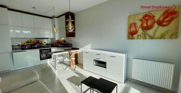 Bielsko-Biała, Sarni Stok Mieszkanie na wynajem - Zdjęcie 1