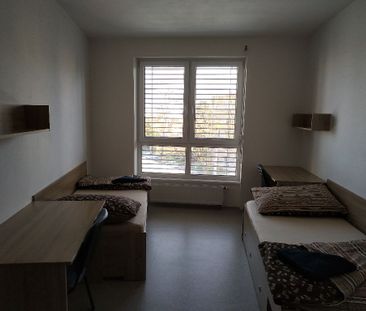 Pronájem bytu 1+kk a garsoniéry 20 m², Branišovská 1800, České Budě... - Fotografie 5