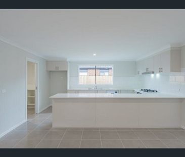 Effortless Family Living in the Heart of Arden Estate - Photo 6