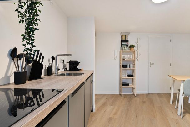 Te huur: Appartement Rosmolenplein in Tilburg - Foto 1