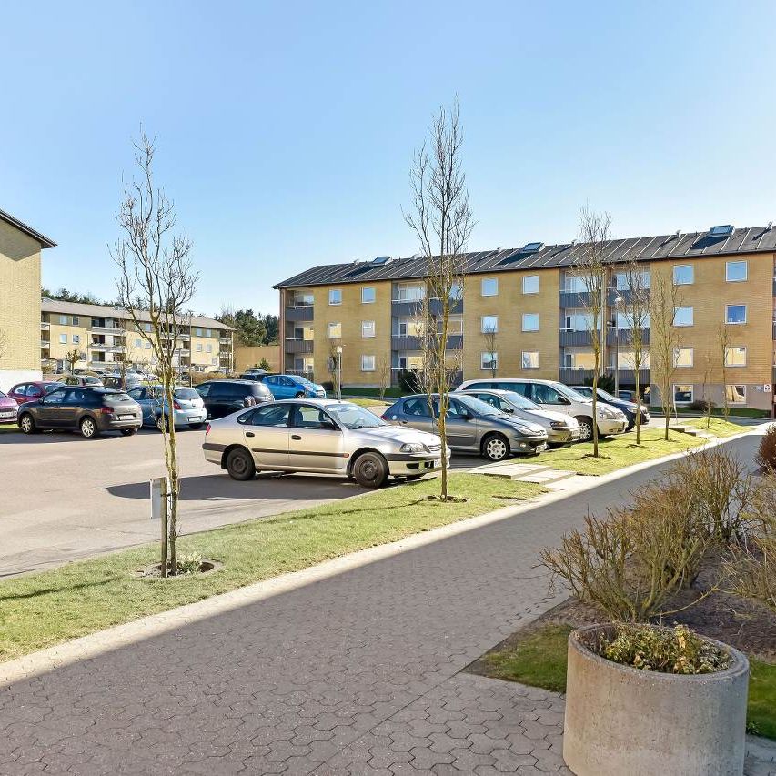 Revlingbakken - Photo 1