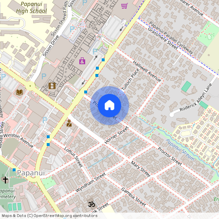 88 Proctor Street, Papanui