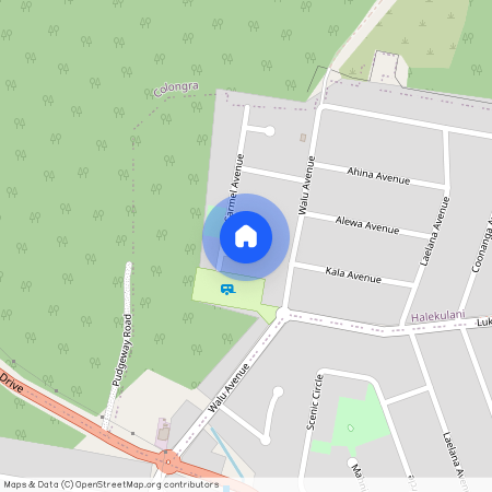 2 Jeremy Close Budgewoi, NSW 2262