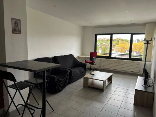 Appartement à louer 2 pièces 49.82m² - Photo 1