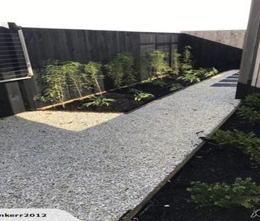 Single-level home – no climbing stairs! - Photo 6