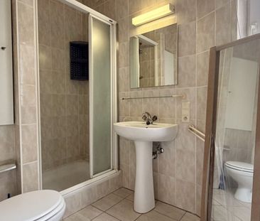 't Zuid ∣ Aangenaam appartement 1 slaapkamer - Foto 6