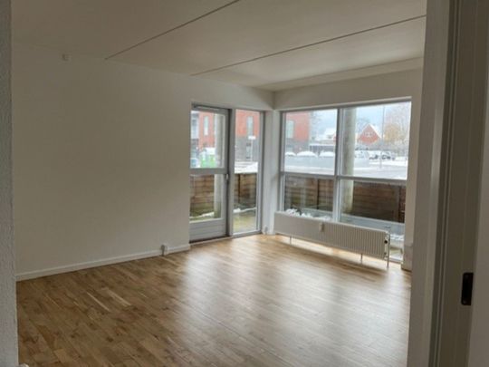 Stue lejlighed med god syd/vestvendt terrasse - Photo 1