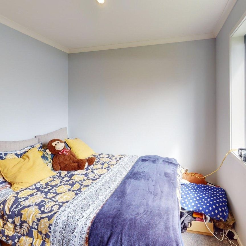 Ashhurst - 3 Bedrooms - Photo 1