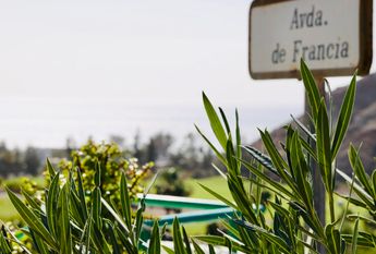 Bungalow 19 – Tauro Platero