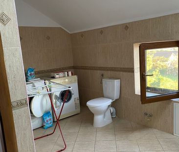Casa individuala si curte in Davinci/ PET FRIENDLY - Photo 4