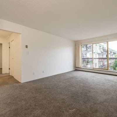 Seaport Apartments - 1 Bedroom - Available February 1st - Photo 3