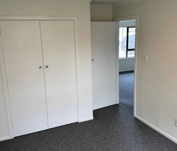 Fully Renovated Apartment - Photo 4
