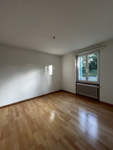 Ihre Wohnung mit Aussicht in Höngg - Foto 2