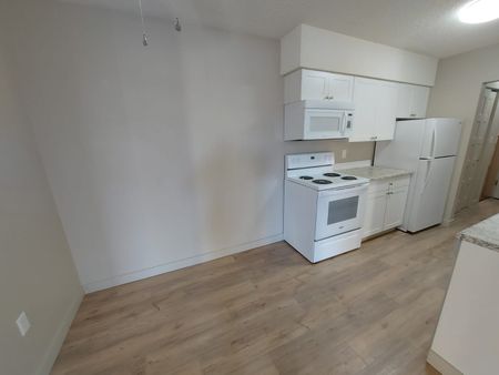 Beautiful 2 Bedroom Unit in Parkvale!! - Photo 4