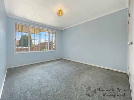 1/3 Teramby Road, Hamilton - Photo 1