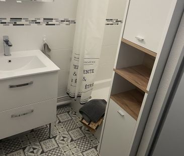 Location Appartement 2 pièces 22m² LE BARCARES 66420 - Photo 6