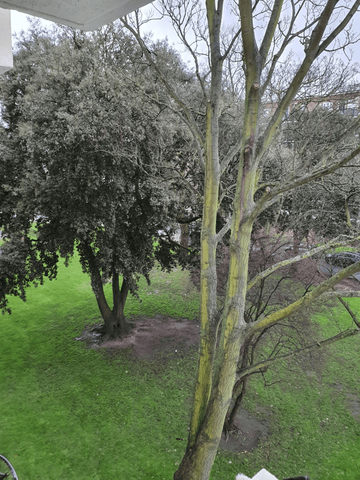 Redlands Way, London, SW2 - Photo 5