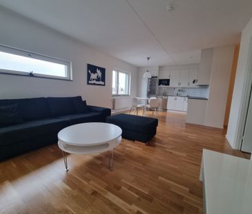 Kvillegatan, Göteborg - Photo 3