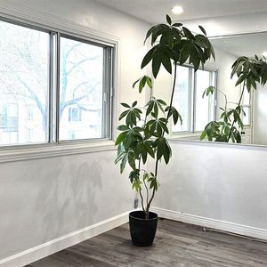 Montréal – Logement 4 1/2 rénové à louer - Photo 2