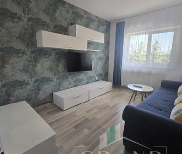 Buna Ziua | Apartament 2 Camere | Parcare | Parter | 50 MP - Fotografie 4
