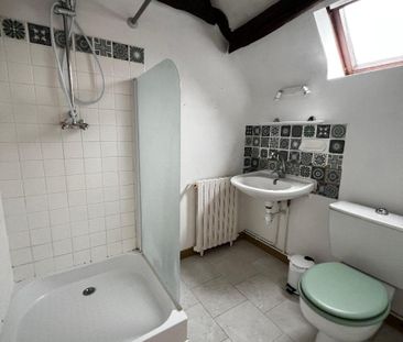 Location Appartement 2 pièces 51m² LE BLANC 36300 - Photo 3