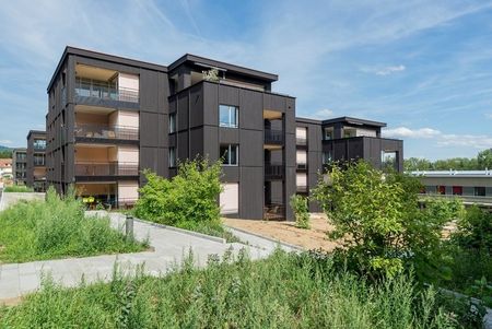 Mitten im Baumgarten - im herrlich grünen Umfeld - Foto 5