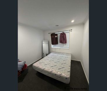 Spacious Family Home for Rent – 7 Spot Avenue, Wyndham Vale - Photo 4