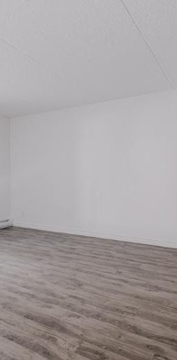 Appartement 5 ½ à louer Sainte-Foy / Sillery décembre 2025 - Photo 1