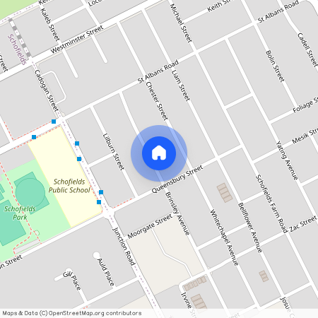 29 Brinsley Ave (Tallawong), NSW 2762, Schofields