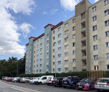 Pronájem bytu 3+1 71 m2 - Fotografie 1